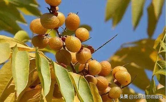 菩提手串有什么寓意_菩提手串好吗_菩提手串有什么好处