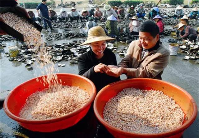 蜜蜡批发价_中国最大蜜蜡批发市场_蜜蜡批发货源