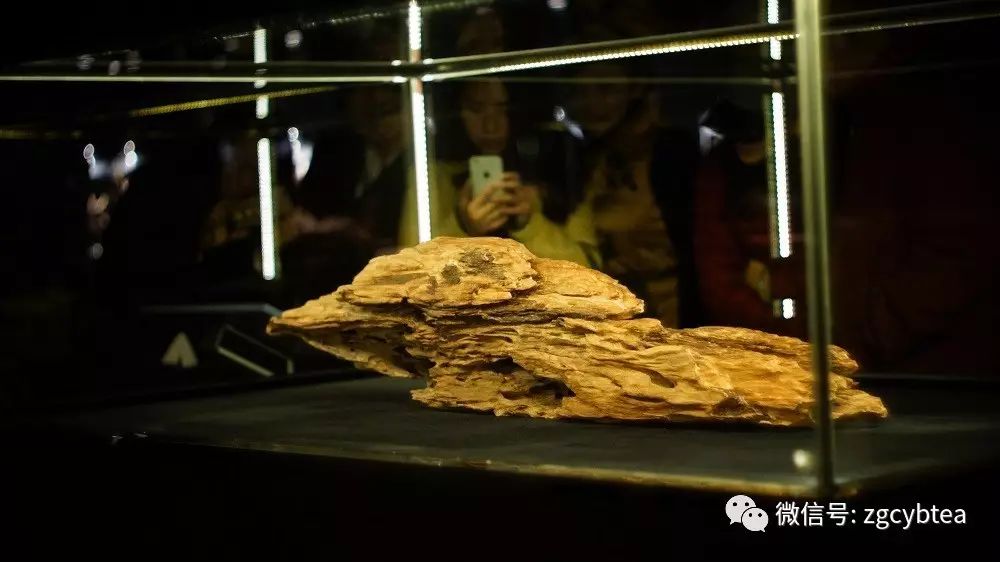 沉香茶好喝吗_沉香茶的口感怎么样_沉香茶的价位
