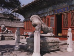 北京留存的元代石狮造型独特：顽皮、塌腰、踩银锭